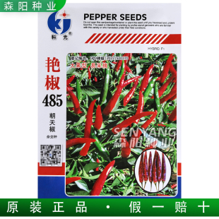 科光艳椒485朝天椒425特辣大果朝天椒干鲜两用小米辣椒465红泰668