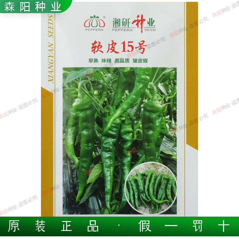 湘研软皮15号辣椒种子早熟高品质