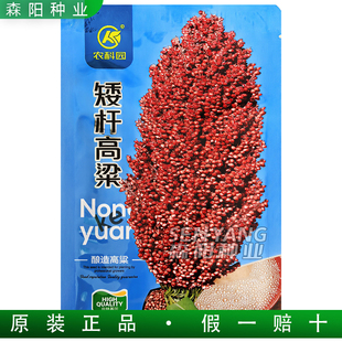 农科园矮杆高粱杂交种子高产抗病大田机收酿酒高粱红英子两糯一号