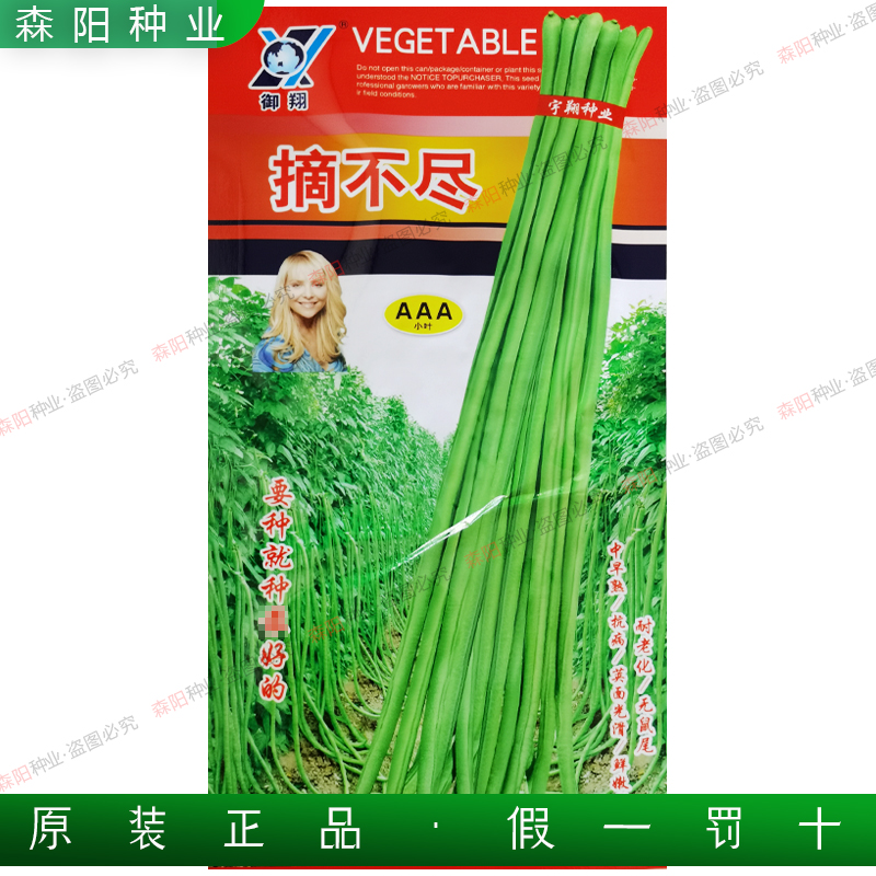 御翔摘不尽豇豆种子aaa小五叶中早熟抗病高产青豆角无鼠尾四季豆