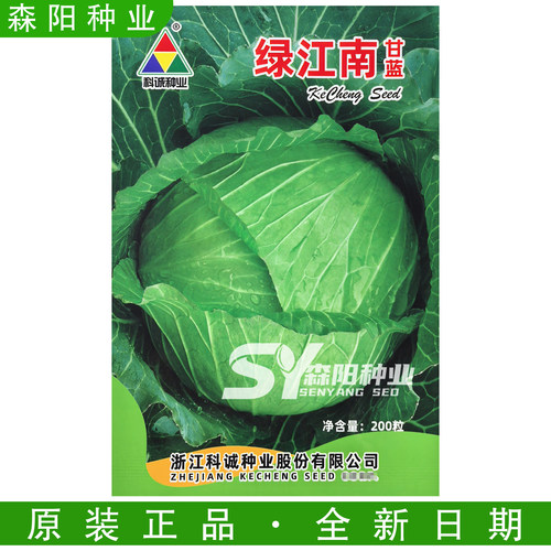 科诚绿江南70天中熟甘蓝种子