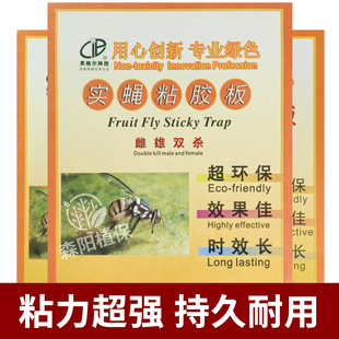 英格尔实蝇粘胶板黄板粘虫板诱虫板贴纸飞虫沾果蝇诱捕器果园苍蝇