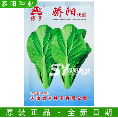 绿亨骄阳快菜种子四季速生耐热