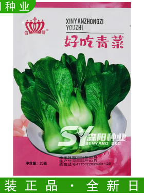 信研好吃青菜种子大头束腰亮绿色青梗菜上海苏州青耐热抗病小青菜