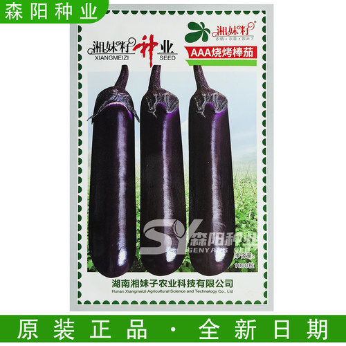 湘妹籽AAA中晚熟紫红长棒茄种子