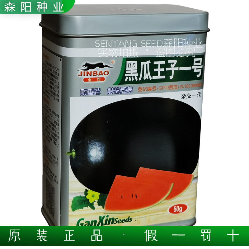 金豹黑瓜王子一号西瓜抗病耐重茬
