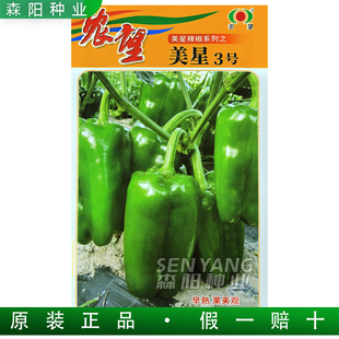 农望美星3号辣椒种子早熟大果99灯笼椒厚肉大青椒十三号早杂二号