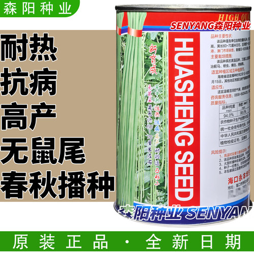 泰国一号油白豆角进口豇豆种耐热