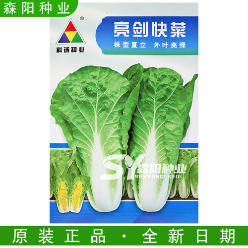科诚亮剑快菜种子早熟耐热