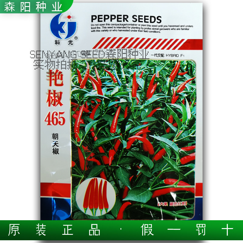 科光艳椒465朝天椒种子中晚熟特辣小尖椒猛辣剁椒泡椒小米辣籽425
