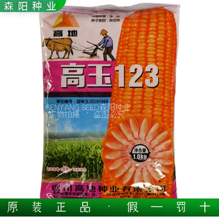 高地高玉123玉米种子国审大田杂交饲料玉米家禽饲料粘包谷登海9号