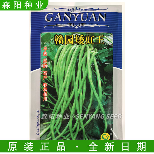赣园矮豇王早熟抗病高产四季豆