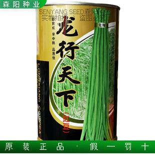 龙翔龙行天下豇豆种子早中熟长豆角翠绿四季豆春秋季基地江豆种籽