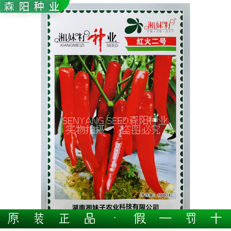 湘妹籽红火二号辣椒种极早熟红尖