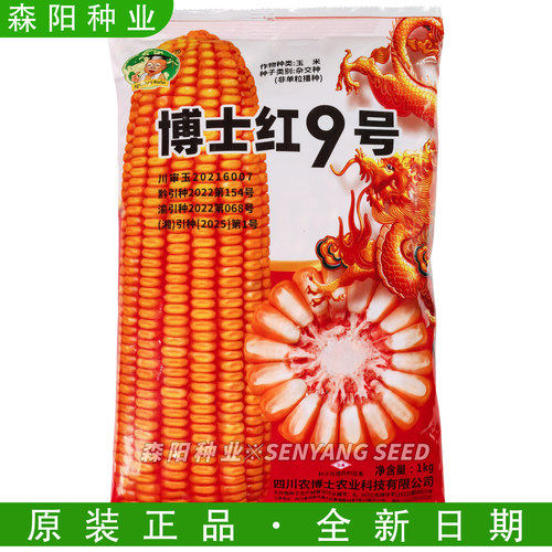 博士红9号杂交玉米种高产抗倒