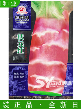 种都高科状元红莴笋种子抗病高产