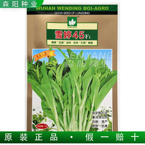 雪婷45极早熟白菜苔种子抗病高产