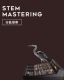 Mastering 专业化歌曲后期混音 Stem 鸦雀有声 分轨母带