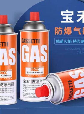 瓦斯气瓶户外燃气气体宝禾220g