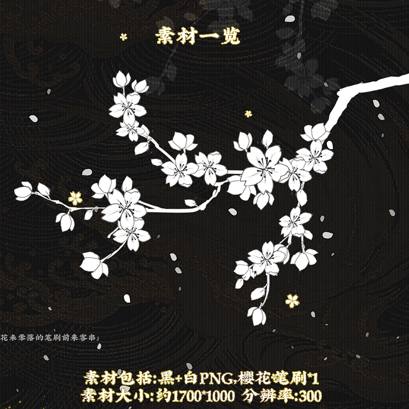 樱与生-白描花-ps笔刷-闲人半生-Photoshop设计素材可商用ps海报
