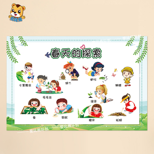 幼儿园春天主题墙环创布置装饰春季的探索种子叶子花朵成长结构图