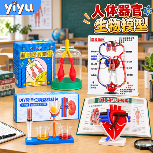 人体肺呼吸模型气体交换膈肌运动模拟器七年级初中生生物科学实验