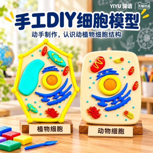 生物动物植物细胞模型制作材料包