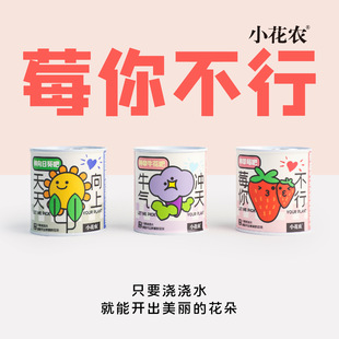 神奇植物盲盒种子室内办公桌面易发芽盆栽绿植罐头植物创意礼物