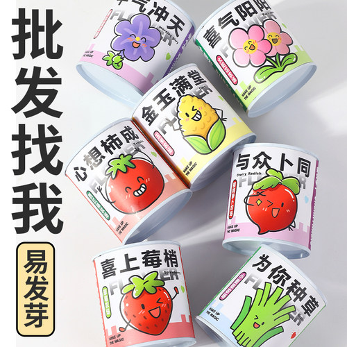 种植小盆栽礼物栽培罐头花罐头植物桌面好养种子草莓向日葵种植