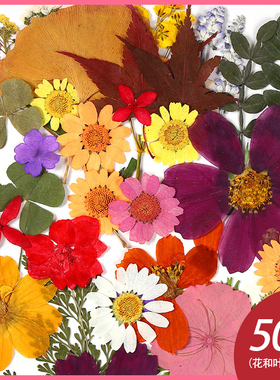 DIY押花混合干花树叶包亲子手工