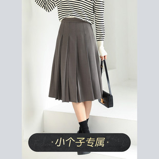 奈格薇儿小个子灰色百褶半身裙女春秋2025新款 高腰a字显瘦伞裙