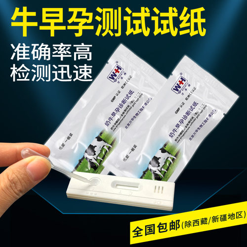 母牛测孕纸养殖场畜牧兽用