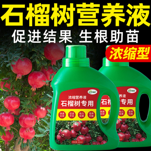 石榴树营养液石榴专用肥料水溶肥果树复合家用盆栽开花结果通用型