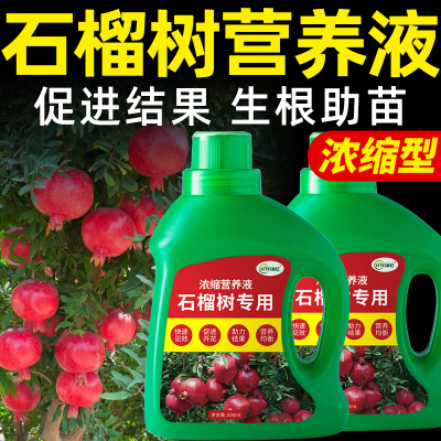石榴树营养液果树专用肥料