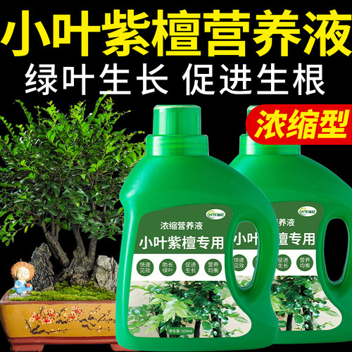 小叶紫檀盆景肥料老桩树苗专用肥盆栽复合营养液观叶植物园艺花肥