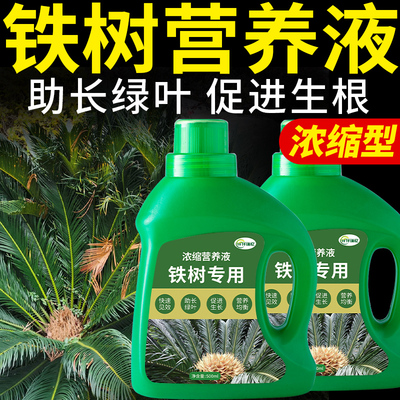 铁树专用肥料营养液黄叶叶子发黄有机肥化肥墨西哥盆栽盆景营养肥