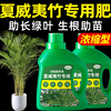 夏威夷竹肥料盆栽复合专用肥散尾葵浓缩营养液绿植园艺植物室内用