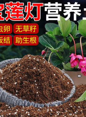 宝莲灯花专用营养土有机泥炭配方盆栽换盆基质疏松透气防烂根肥料