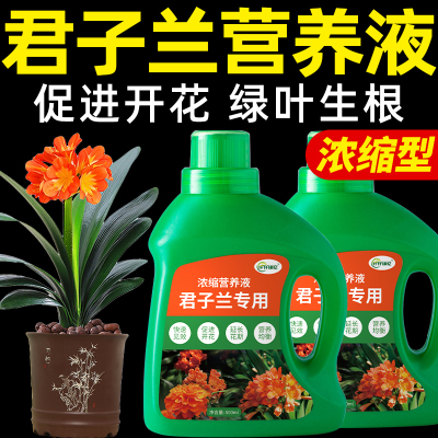 君子兰营养液花卉专用肥料
