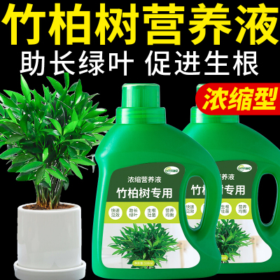 竹柏树肥料兴旺竹专用肥复合营养液船家树山杉大果园艺植物花肥