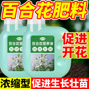 百合营养液种球花肥香水百合花专用肥料氮磷钾促开花的肥料