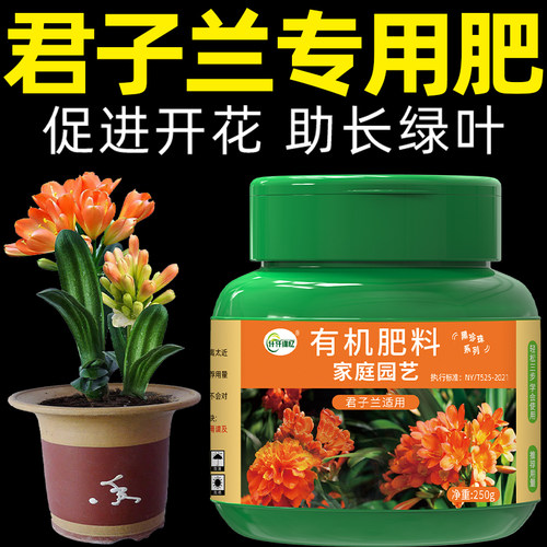 君子兰肥料专用肥营养液开花治不开花黄叶病有机氮磷钾促花催花肥