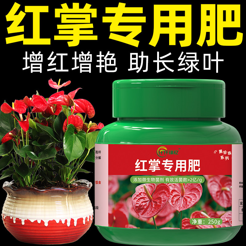 红掌专用肥料鸿运当头一帆风顺白掌营养液有机肥家用盆栽植物花肥
