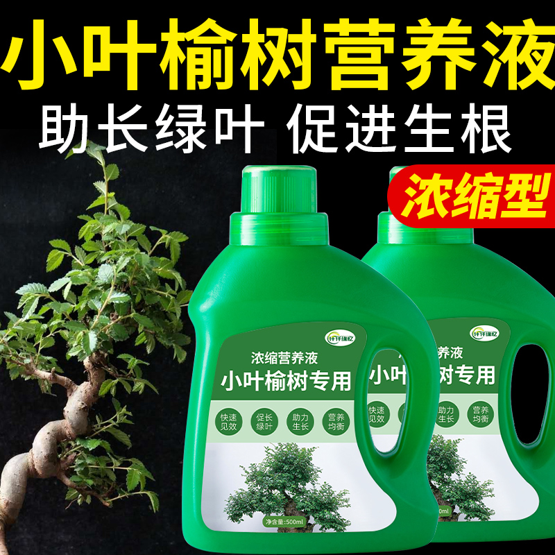 小叶榆树专用肥营养液肥料榔榆榆钱白榆春榆盆景盆栽绿植植物花肥