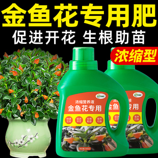 金鱼花肥料营养液复合有机花卉绿植用四季吊兰家庭盆栽园艺专用肥
