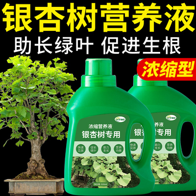 银杏树专用肥营养液复合肥料白果树公孙树盆栽盆景绿植植物花肥