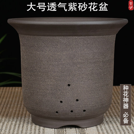 宜兴紫砂花盆兰花盆君子兰虎皮兰海棠花盆通用透气盆粗陶花盆大号