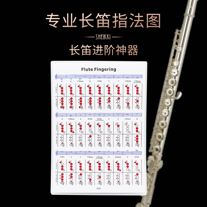 专业长笛指法图解 竖笛练习表五线谱自学习 管弦乐演奏初学进阶