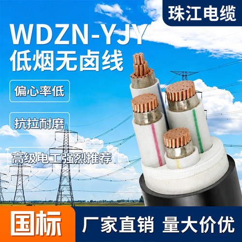 珠江YJV国标阻燃护套线10m