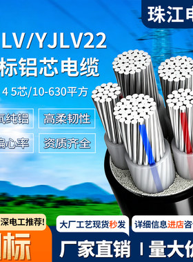 珠江电缆国标YJLV22铝芯电缆线